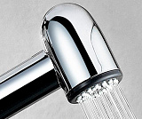 Смеситель для раковины с гигиенической лейкой Wasserkraft Leine 3508