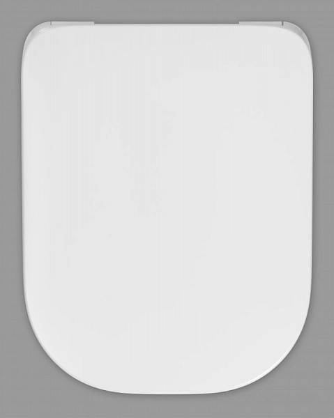 Крышка для чаши Roca The Gap 801472001 Soft close петли хром