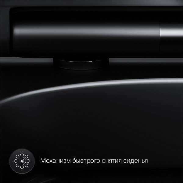 C701700MBSC Spirit V2.0 подвесной унитаз FlashClean с сиденьем микролифт, черн мат