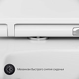 C50A1700SC Inspire V2.0 подвесной унитаз FlashClean с сиденьем микролифт