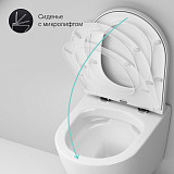 C741701SC Sense подвесной унитаз FlashClean с сиденьем микролифт