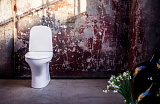 Унитаз напольный Gustavsberg Estetic Hygienic Flush GB1183002R1231 безободковый, сиденье с микролифтом