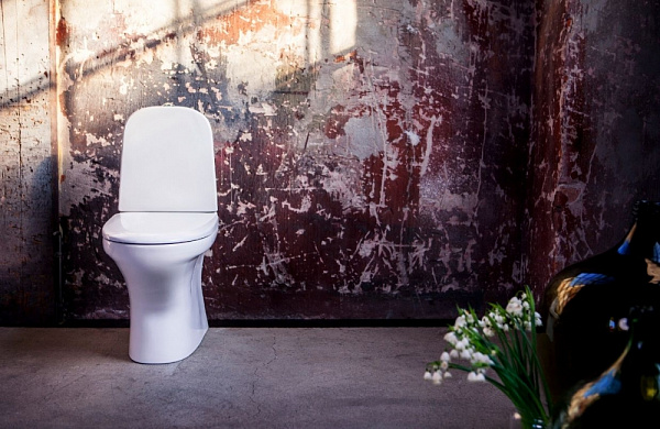 Унитаз напольный Gustavsberg Estetic Hygienic Flush GB1183002R1231 безободковый, сиденье с микролифтом