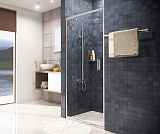 Душевая дверь Wasserkraft Berkel 48P13