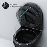 C701700MBSC Spirit V2.0 подвесной унитаз FlashClean с сиденьем микролифт, черн мат