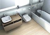 Крышка-сиденье Duravit DuraStyle Senso Wash 610200002000300 с микролифтом, петли хром, функция биде