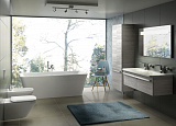 Унитаз подвесной Ideal Standard Tonic II K316501 безободковый
