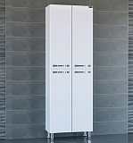 Шкаф-пенал Виктория 60 напольная/подвесная Санта 710002N