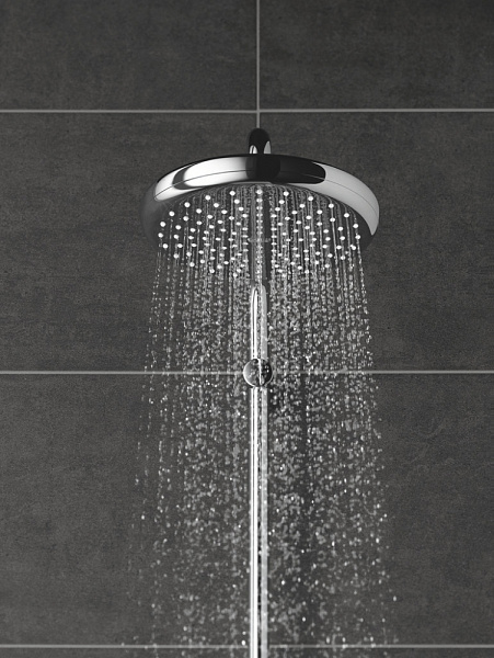 Верхний душ Grohe Tempesta 26408000