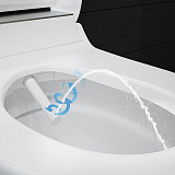 Унитаз-биде подвесной Geberit AquaClean Tuma Comfort 146.294.FW.1 вставка нерж. сталь