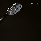 Душевая лейка, 060, IDDIS, 0605F00i19