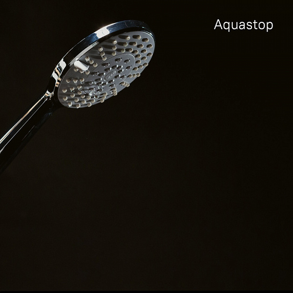 Душевая лейка, 060, IDDIS, 0605F00i19