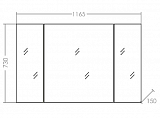 Зеркальный шкаф Стандарт 120 Санта 113019