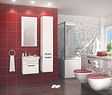 Шкаф-пенал Акватон Ария 34x162 1A134403AA010