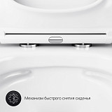 C901701SC Gem подвесной унитаз FlashClean с сиденьем микролифт