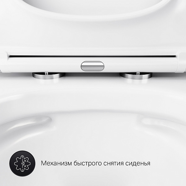 C901701SC Gem подвесной унитаз FlashClean с сиденьем микролифт