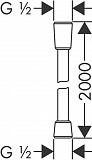 Душевой шланг Hansgrohe Comfortflex 28169000 200 см