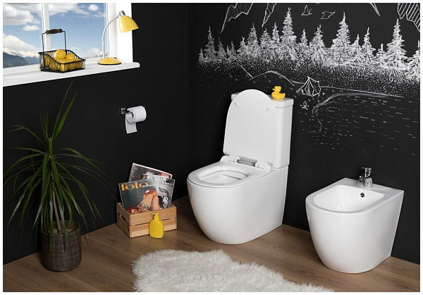 Сливной бачок Aquanet Cetus-C2 BL-102N-TPT CETUS-C2