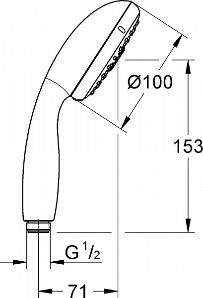 Душевая лейка Grohe Tempesta New 28578002