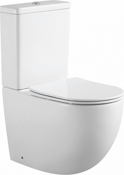 Чаша напольного унитаза Aquanet Rimless Cetus 2.0 C1 LX-2903 Cetus 2.0 C1