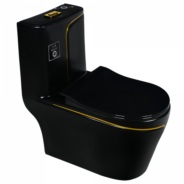 9007 Унитаз -моноблок, сиденье с микролифтом, черный/золото