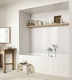 Ручной душ HANSGROHE Raindance Classic 28548000