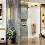 Душевая перегородка Ambassador Waik-in 15031112