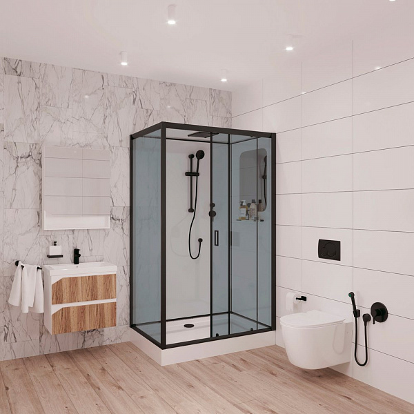 Душевая кабина Niagara Premium 120х80х210 NG- 6912-01QR BLACK