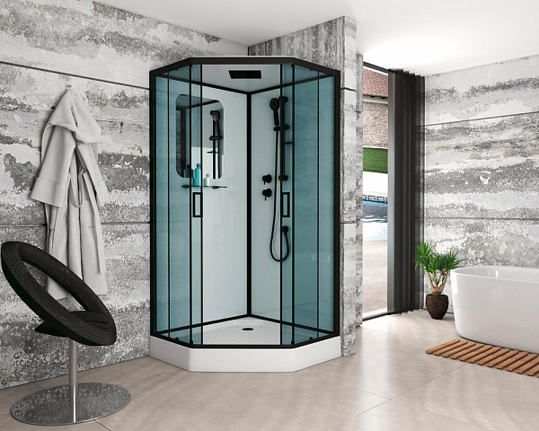 Душевая кабина Niagara Premium 90х90х220 NG-6901-01D BLACK