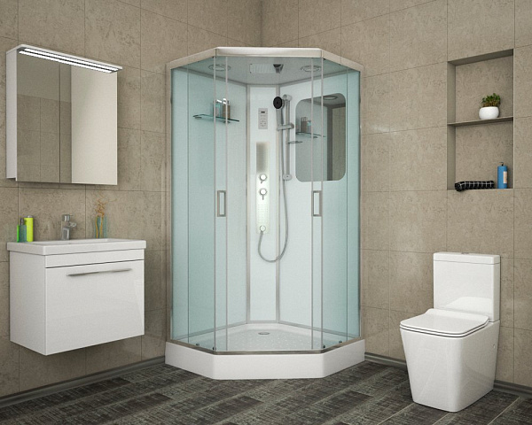 Душевая кабина Niagara Premium 100х100х220 NG-6002-01GD