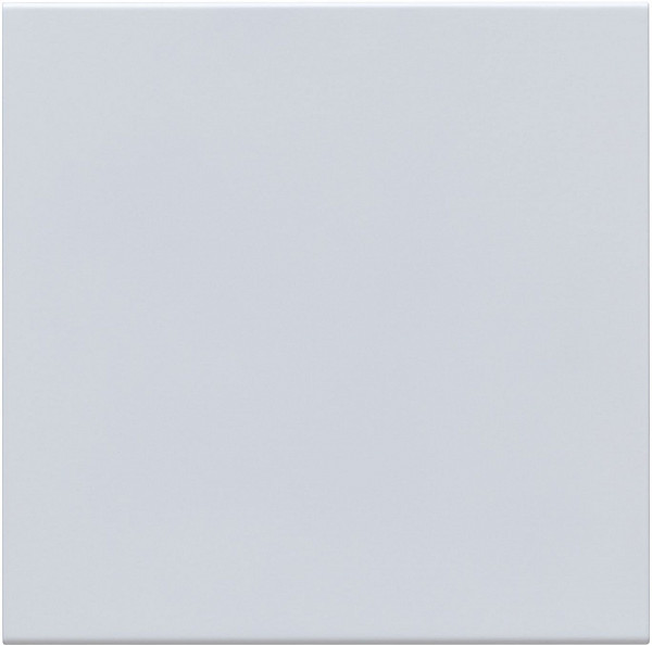 Полка Aquanet Магнум 22,5x22,5 белая, квадрат 00302235