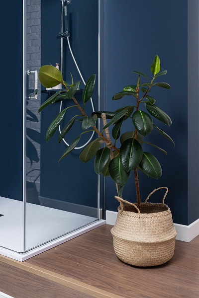 Душевая дверь Aquanet Cinetic AE12-N-120H190U-CT 1200, прозрачное стекло AE12-N-120H190U-CT