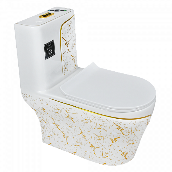 9005 Унитаз -моноблок, сиденье с микролифтом, белый/золото
