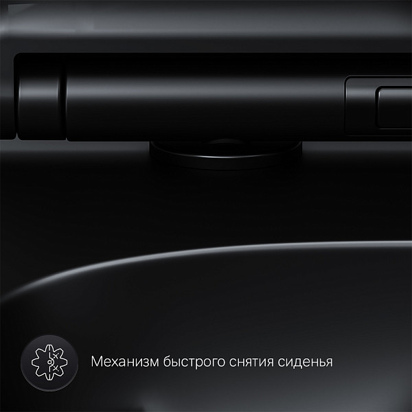 C85A1700MBSC X-Joy S подвесной унитаз FlashClean с сиденьем микролифт, черн мат