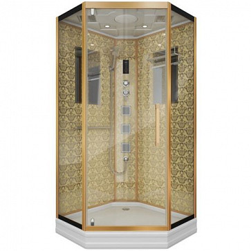 Душевая кабина Niagara Luxe 100х100 NG-7717G