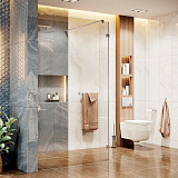 Душевая перегородка Ambassador Waik-in 15031105