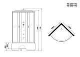 Душ.каб. NG-2509-14G (1000х1000х2150) высокий поддон(40см) стекло ТОНИРОВАННОЕ 4 места