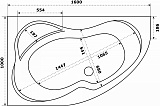 Ванна акриловая Azario Микона 160х100 левая