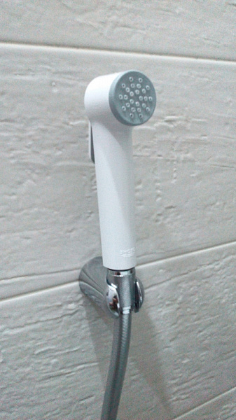 Гигиенический душ Grohe Tempesta-F 26355IL0