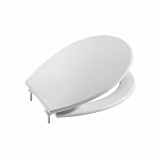 Крышка для чаши Roca Victoria Nord Soft Close Black Edition ZRU9000103 с микролифтом, петли хром