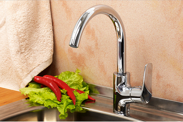 Смеситель для кухни Wasserkraft Lippe 4507