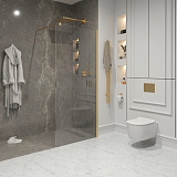 Душ. перегородка NG-643-10 GOLD (100x195), 1 место