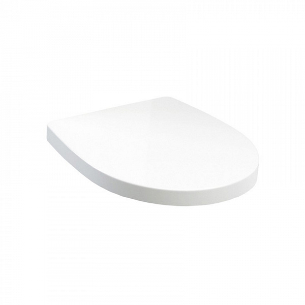 Крышка для чаши Roca Victoria Nord ZRU9000023 петли хром