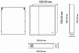 Зеркало-шкаф AZARIO Minio 1П 700*800 с подсветкой (CS00075843)