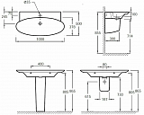 Подвесная раковина-столешница Jacob Delafon Presquile 100х50 см E4436-00