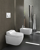 Унитаз-биде подвесной Geberit AquaClean Tuma Comfort 146.294.SI.1 безободковый панель белое стекло