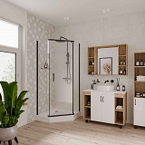 Душ. ограждение Niagara NG-6834-08 BLACK (100*100*190) трапеция, дверь распашная, 1 место