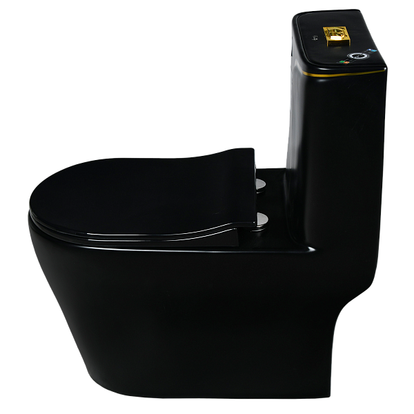 9007 Унитаз -моноблок, сиденье с микролифтом, черный/золото