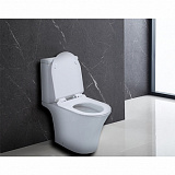 Унитаз напольный Azario Verde 650х380х790 безободковый с быстросъемным сиденьем (AZ-8220)