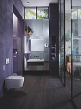 Унитаз-биде подвесной Geberit AquaClean Sela 146.224.11.1 панель белая